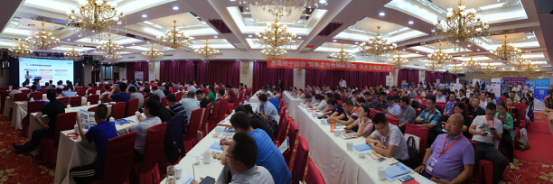 专注学校标志设计