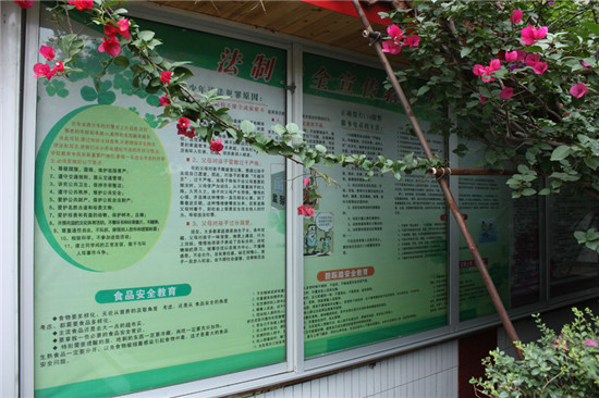 专注走廊文化墙设计