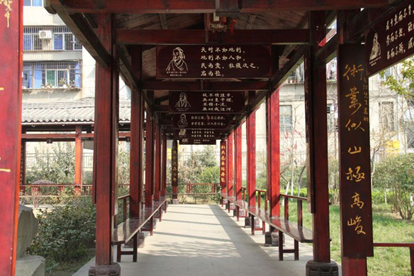 校园走廊文化 校园走廊文化