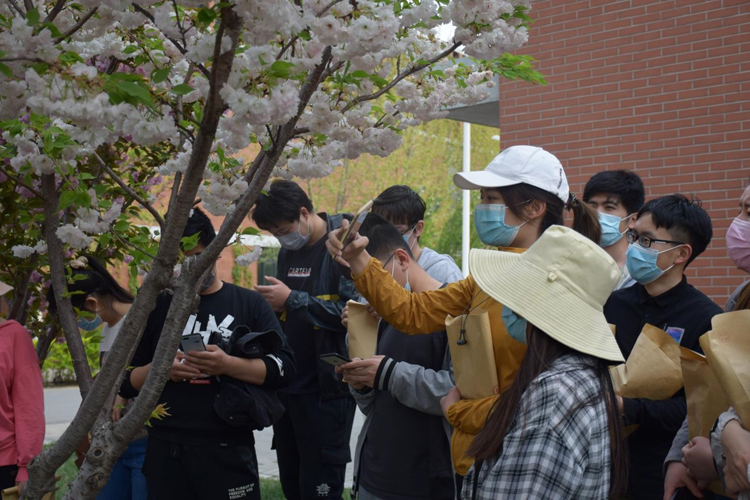 后勤保障部举办“环境育人· 传递天大校园文化—北洋园春日赏花”活动